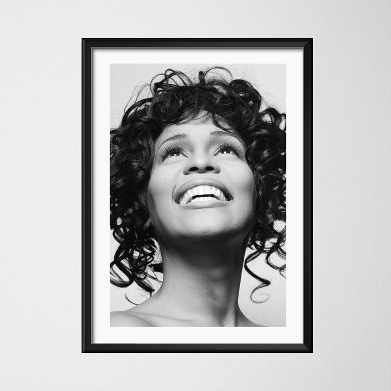 Poster dan Cetakan Whitney Hou - Home Decor Houston ulasan dan harga