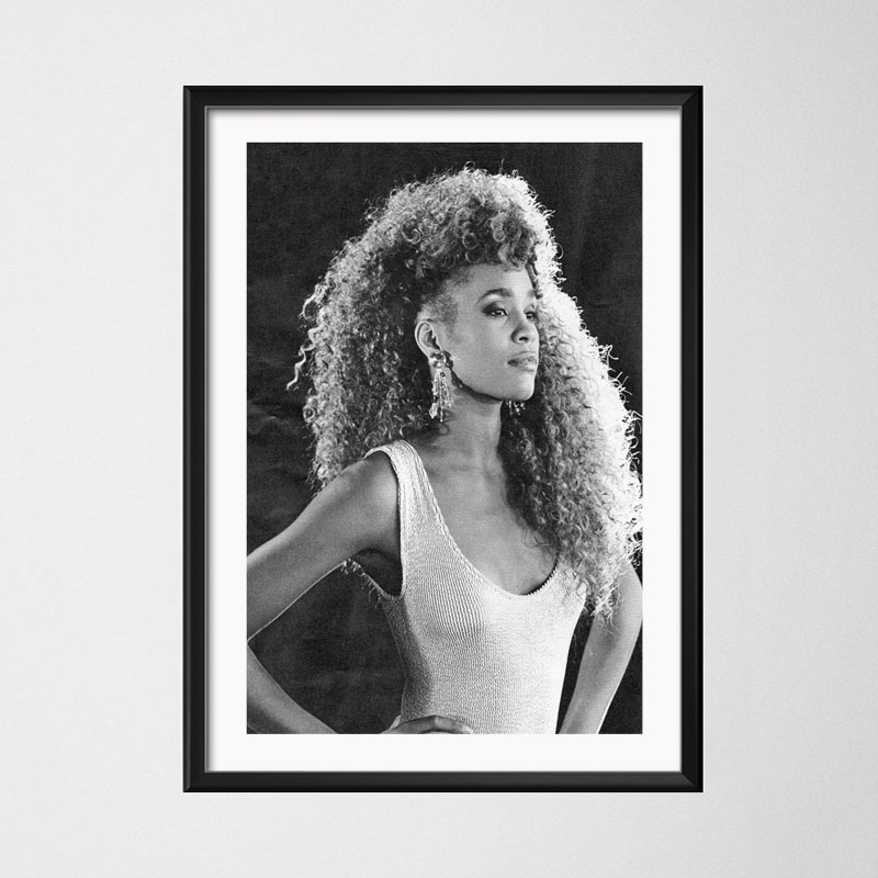 Poster dan Cetakan Whitney Hou - Home Decor Houston ulasan dan harga