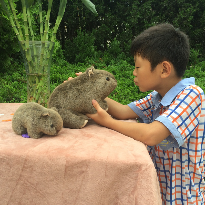 Mainan Mewah Lembut Tikus Bela - Home Decor Netherlands ulasan dan harga