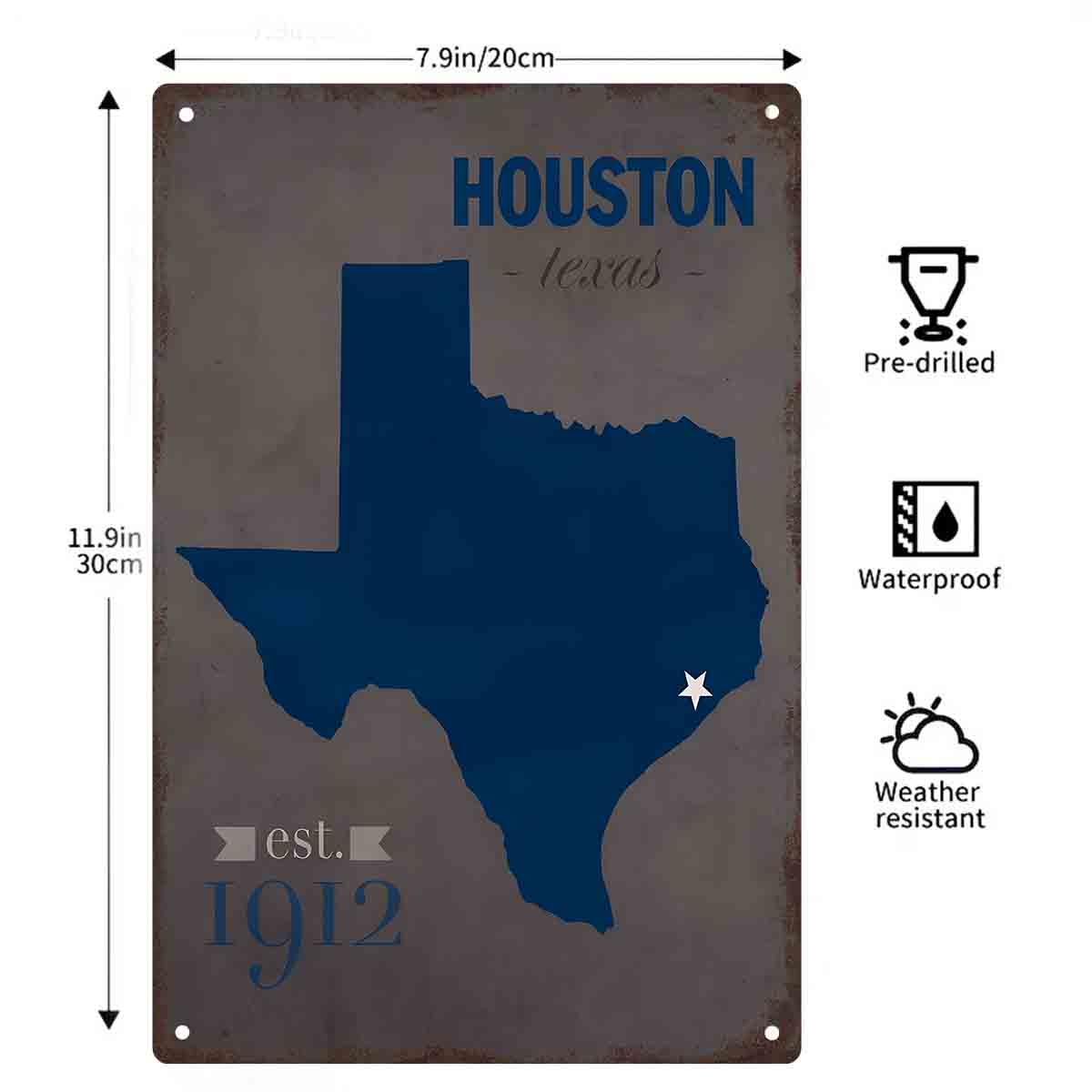 2D FLAT 1pc Peta Biru Houston  - Home Decor Houston ulasan dan harga